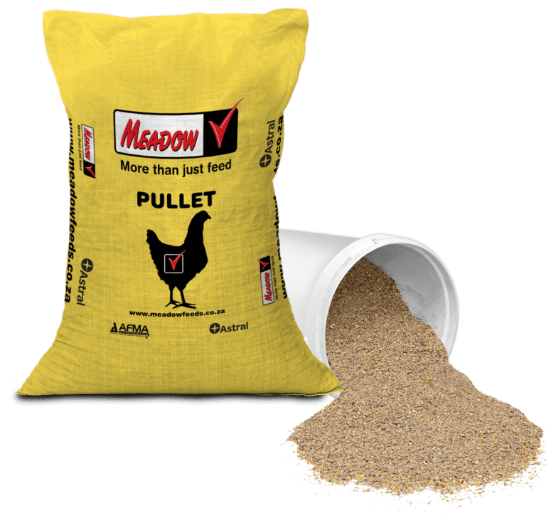 pullet-grower-meadow-feeds